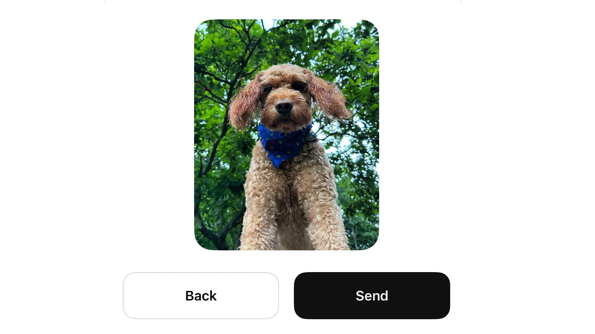 Photos en DM sur Threads pour des messages visuels