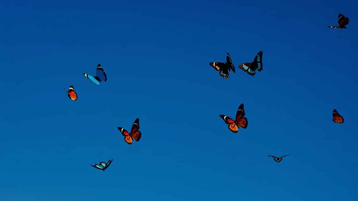 Reve AI va-t-il surpasser Nano Banana et Seedream 4.0 ?