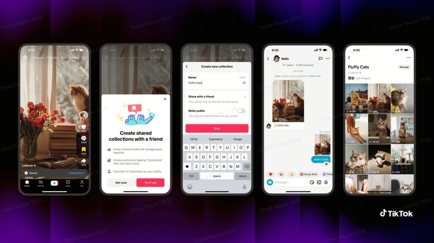 Flux partagé TikTok et collections pour les amis et la famille